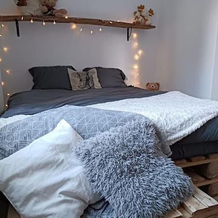Apartament T2 Ultra Cosy En Hypercentre Tarare Zewnętrze zdjęcie